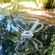 008180A0001MY-molheira-vidro-classic-215ml-15x7x8cm-bt04115-dcasa -6-.jpg